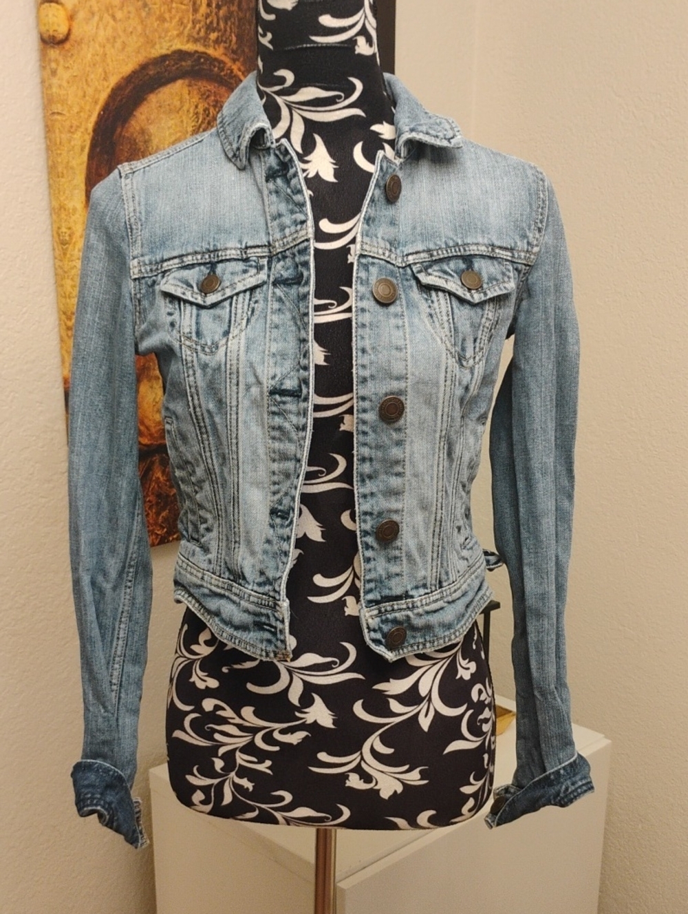 American Eagle Outfitters Light Blue Denim Jean Jacket